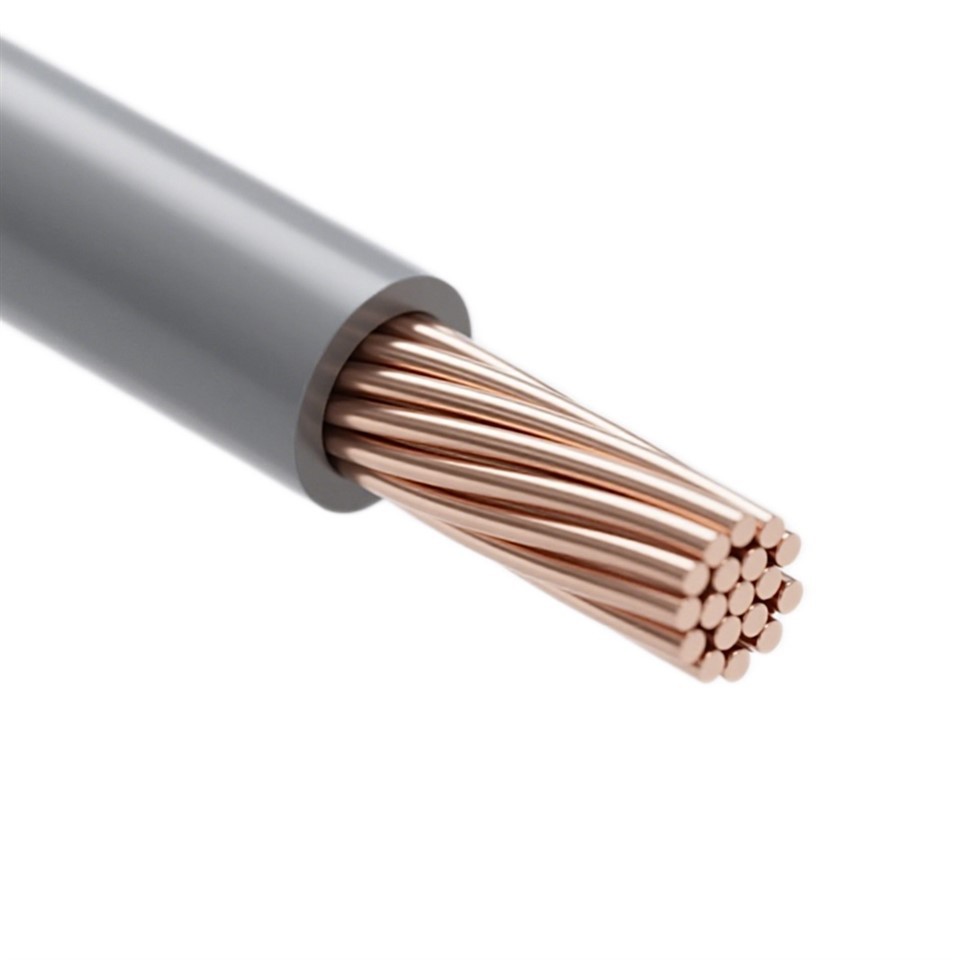 AESSX Ikiyapani gisanzwe cyimodoka