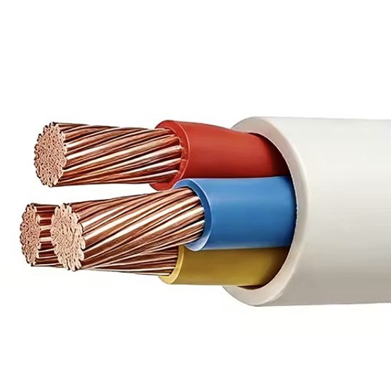 product-552-552 product-552-552